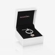 Pandora Sparkling Infinity Jewelry Gift Set